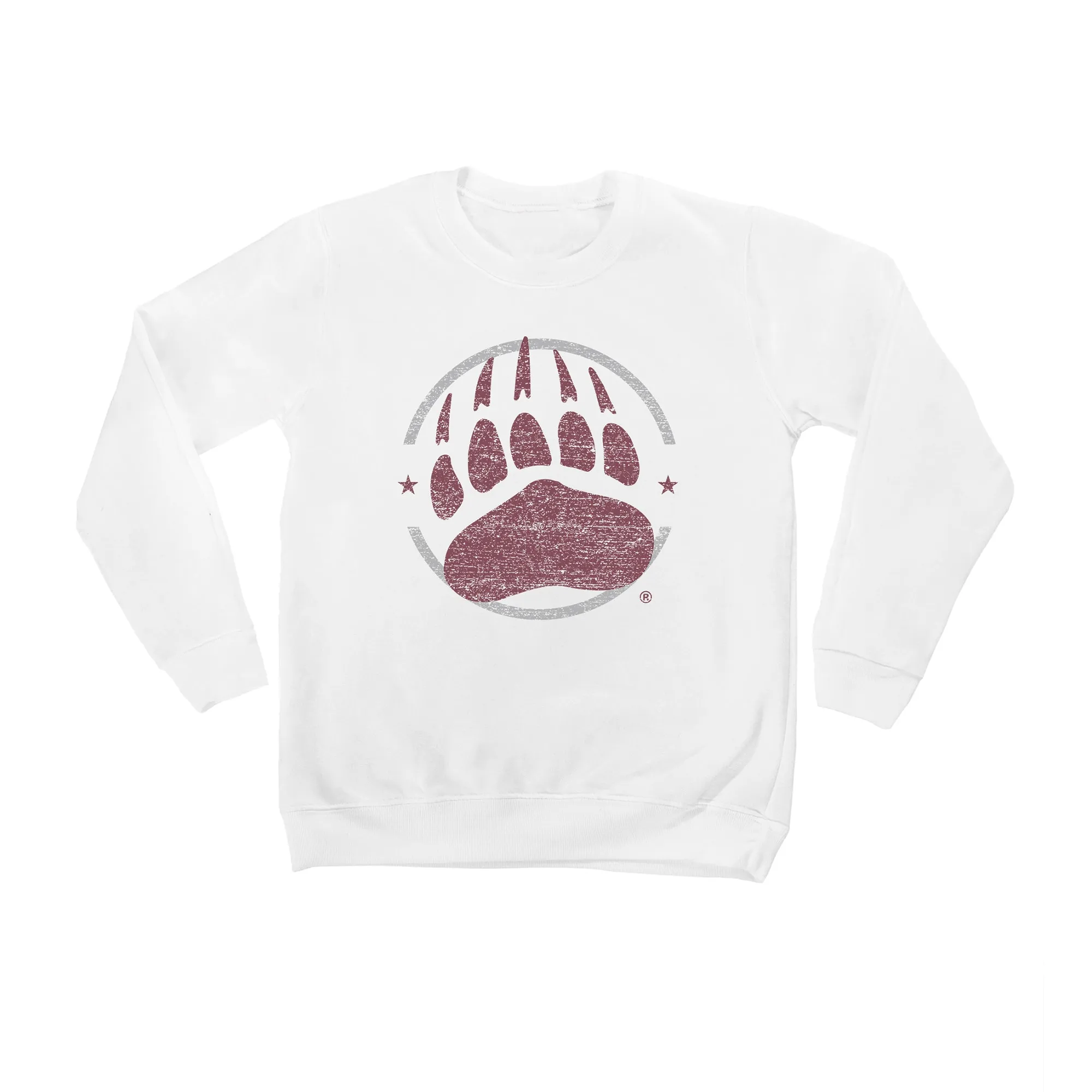 Montana Grizzlies Youth White End Zone Pullover Sweatshirt