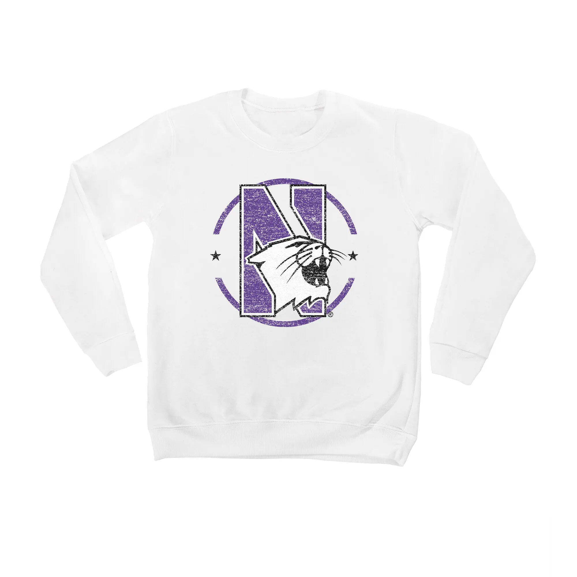 Northwestern Wildcats Youth White End Zone Pullover Sweatshirt