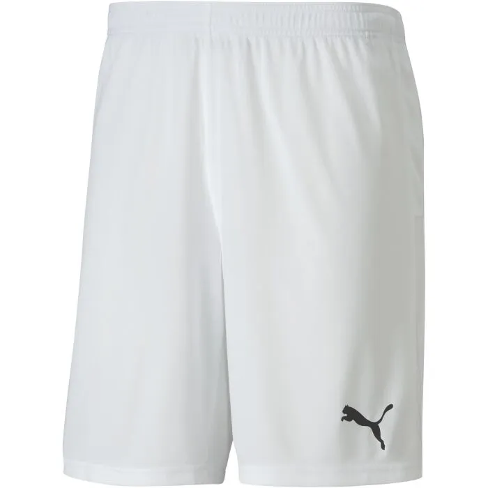 Puma TEAM GOAL 23 KNIT SHORTS