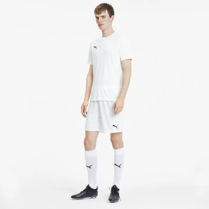 Puma TEAM GOAL 23 KNIT SHORTS