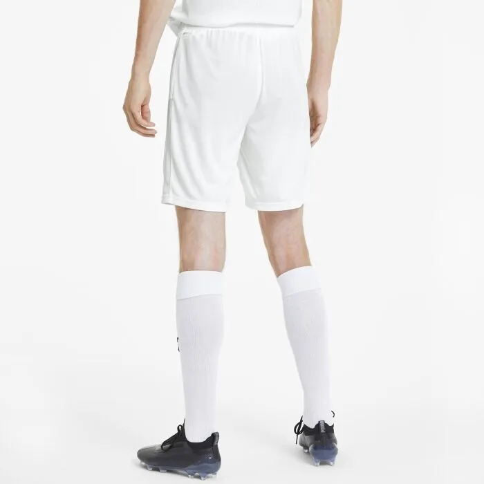 Puma TEAM GOAL 23 KNIT SHORTS