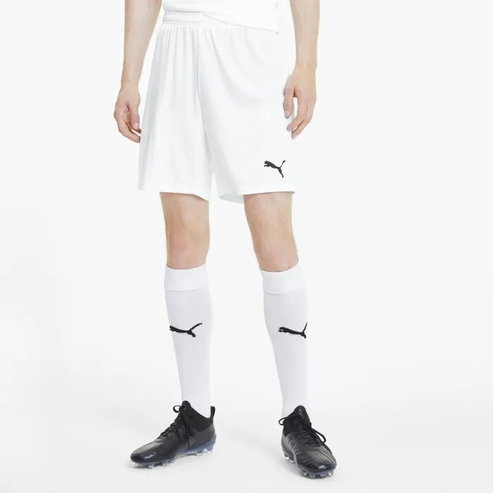 Puma TEAM GOAL 23 KNIT SHORTS