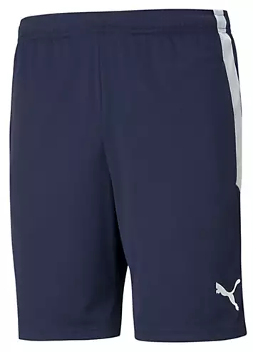 Puma teamLiga Training Shorts | Grattan