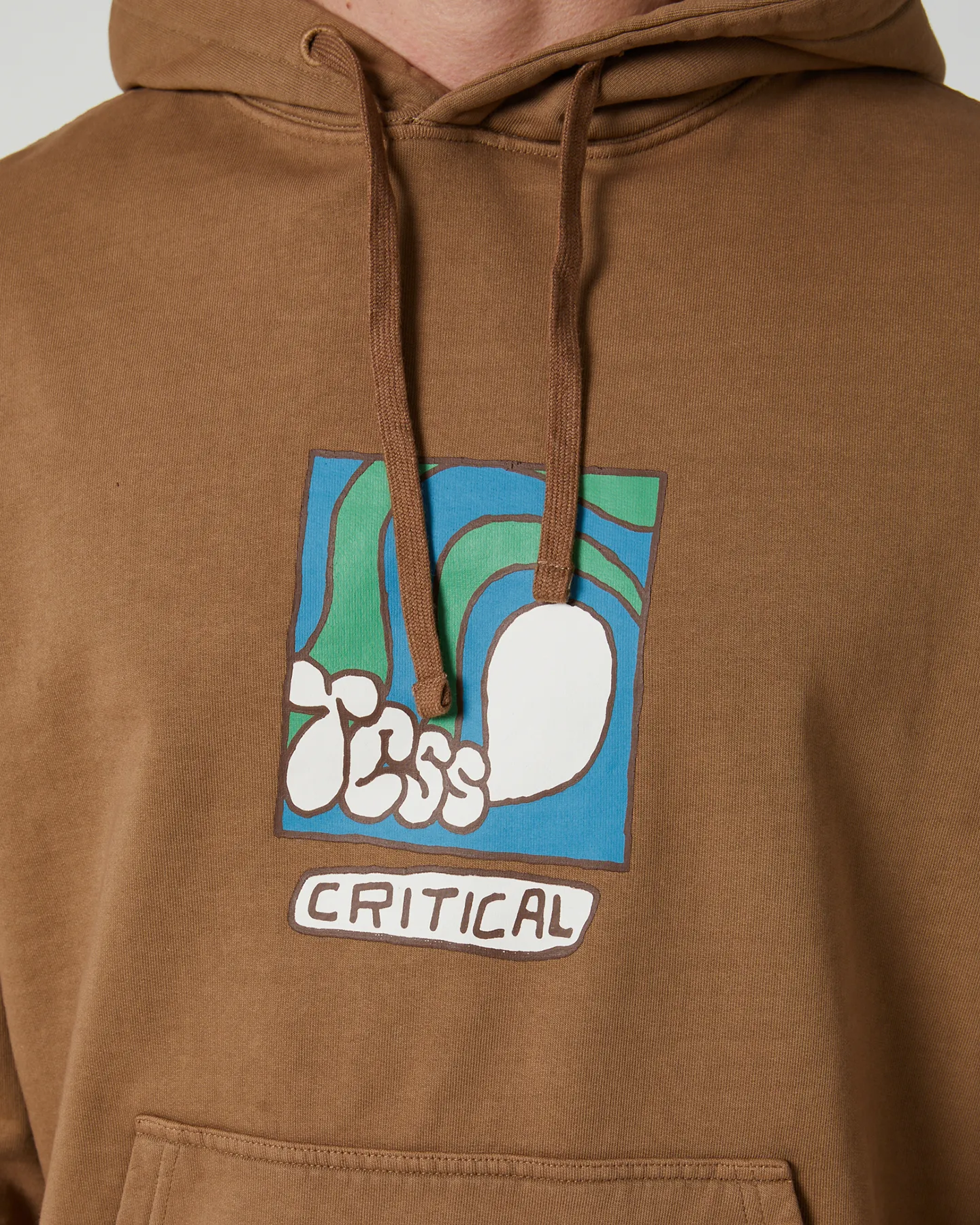 The Critical Slide Society Washroom Hoodie - Brown | SurfStitch